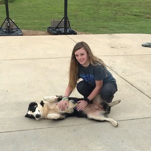 Meet your Posher, Alissa